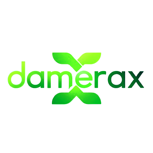 brand logo - Damerax cloud solutions