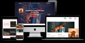 A resort for dogs, image of the website